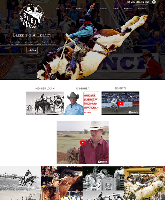 Bucking Horse Breeders